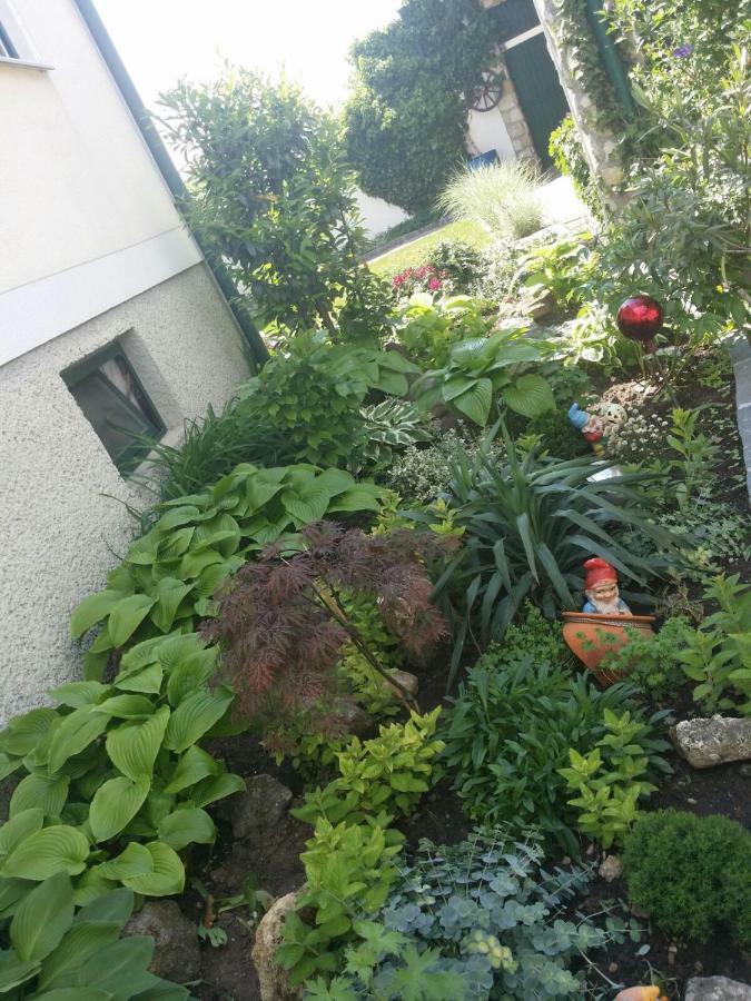 Weingut Apartment Hildegard Gangl Illmitz Buitenkant foto