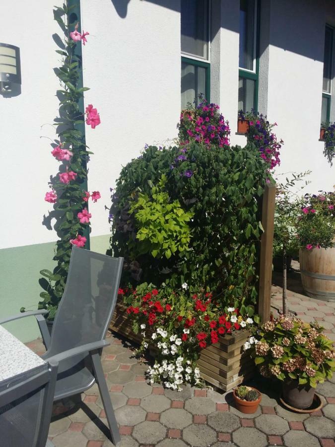 Weingut Apartment Hildegard Gangl Illmitz Buitenkant foto